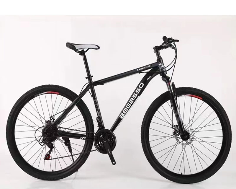 BEGASSO MTB BGS-260 Bicikl 29’’ crni
